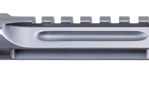 DESERT EAGLE 44MAG L5 5"BARREL - CARBON STEEL BRUSHED CHROME | Black Rose Firearms